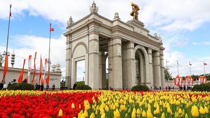  Фото: Ярослав Чингаев / АГН Москва