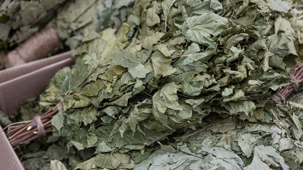 Банные веники.📷Фото: Ксения Федорова, Коммерсантъ / Коммерсантъ