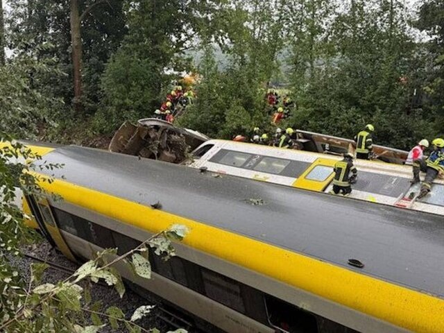    Фото: телеграм-канал "Осторожно, новости"