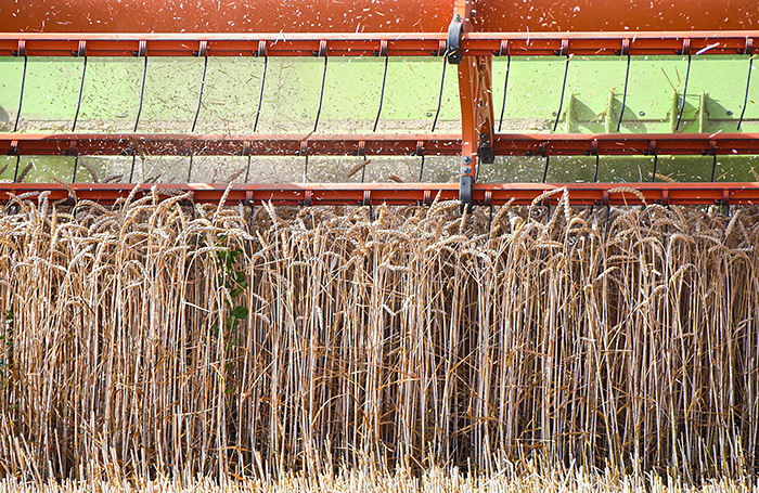    Роман Соколов/ТАСС