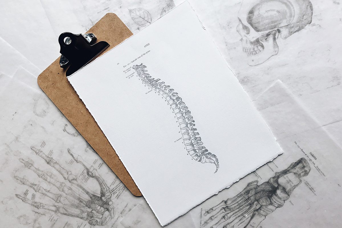    Перелом — это повреждение костной тканиJoyce Mccown/Unsplash