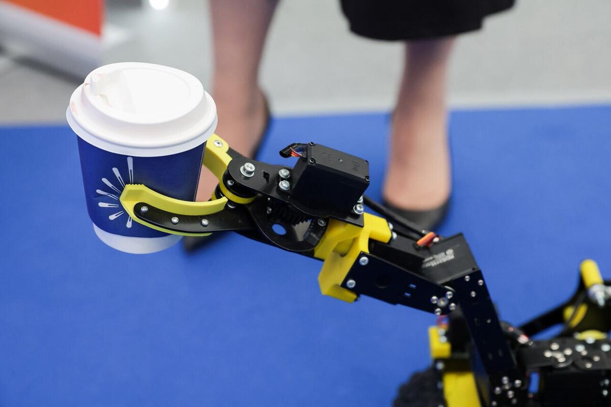 пресс-служба TNF