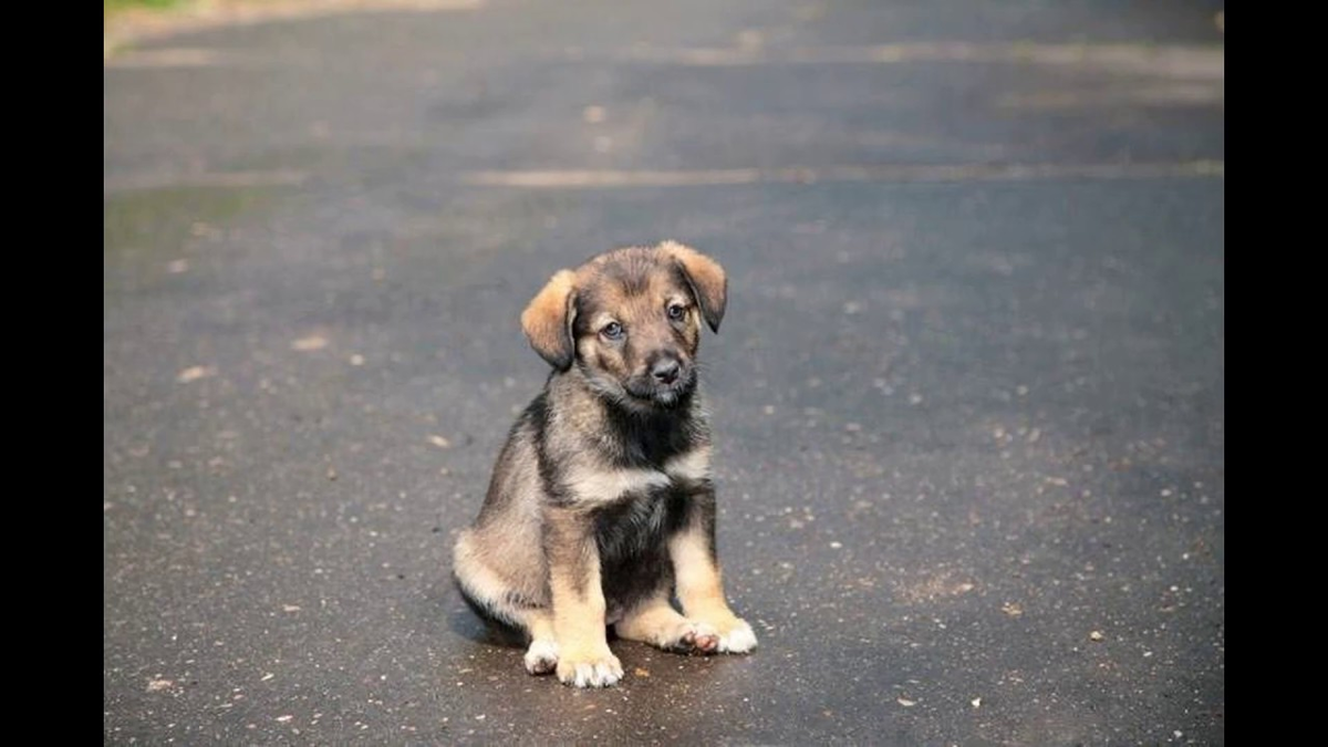 Фото с YouTube для примера