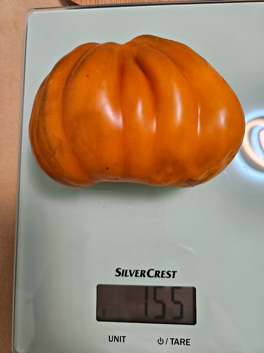 Самый крупный плод