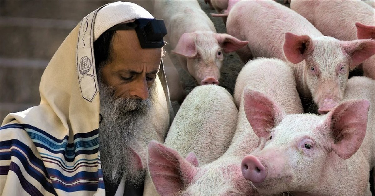 Фотография взята из источника: https://pikabu.ru/story/pochemu_evrei_ne_edyat_svininu_8046177?cid=193721472