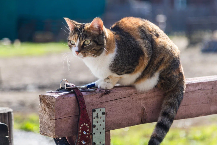    Фото Андрея Заржецкого