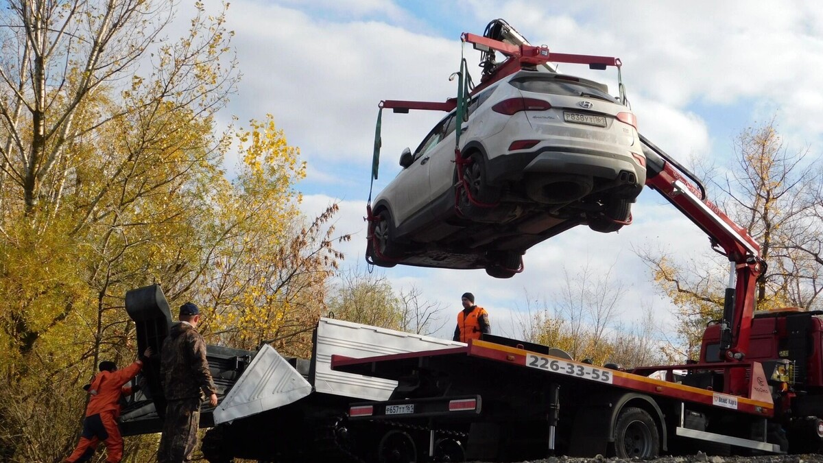     Источник: novostivolgograda.ru