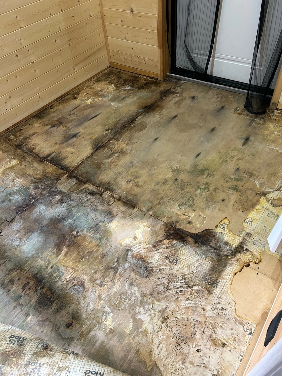 Вот такая картина