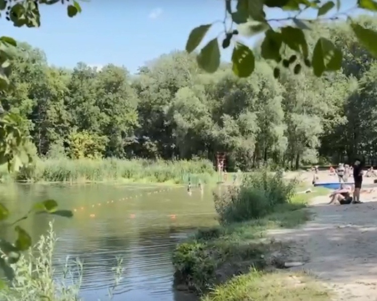     В Курске 16 километров реки Сейм очистят от ила и мусора