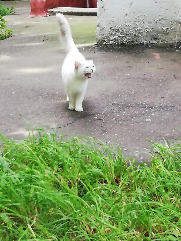 Когда кажется, то... не кажется