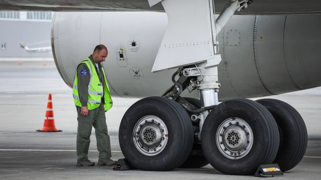    Фото: Roman Naumov/Globallookpress