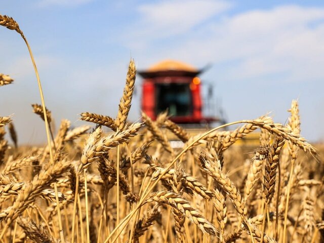    Фото: ТАСС/Дмитрий Рогулин