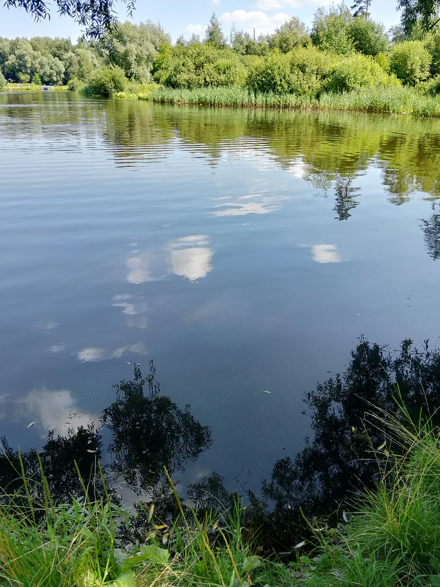 Озеро в подмосковном лесу - мой личный релакс, фото автора