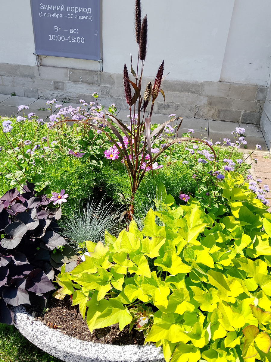 Коумба в Коломенском, фото автора