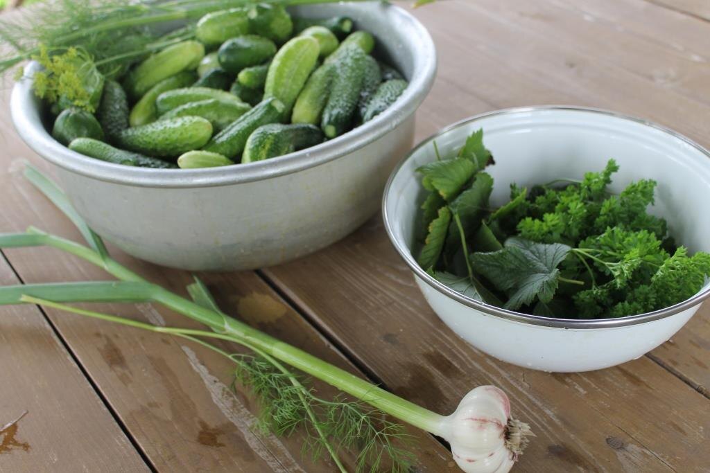 За зеленью и чесноком иду на огород и сразу использую свежее с грядки