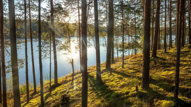 Фото: пресс-служба администрации Ленинградской области