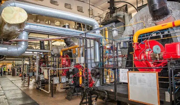    Фото: dni.ru Олеся Шмелева