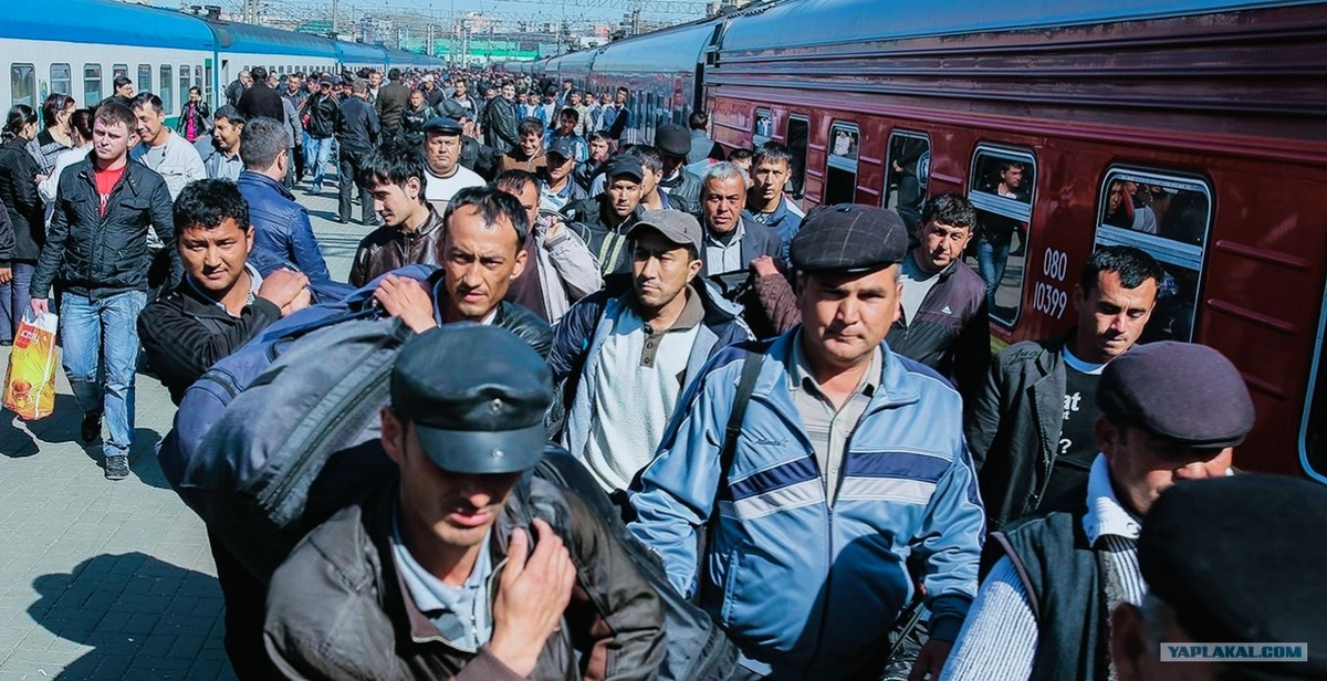 Из открытых источников в интернете.