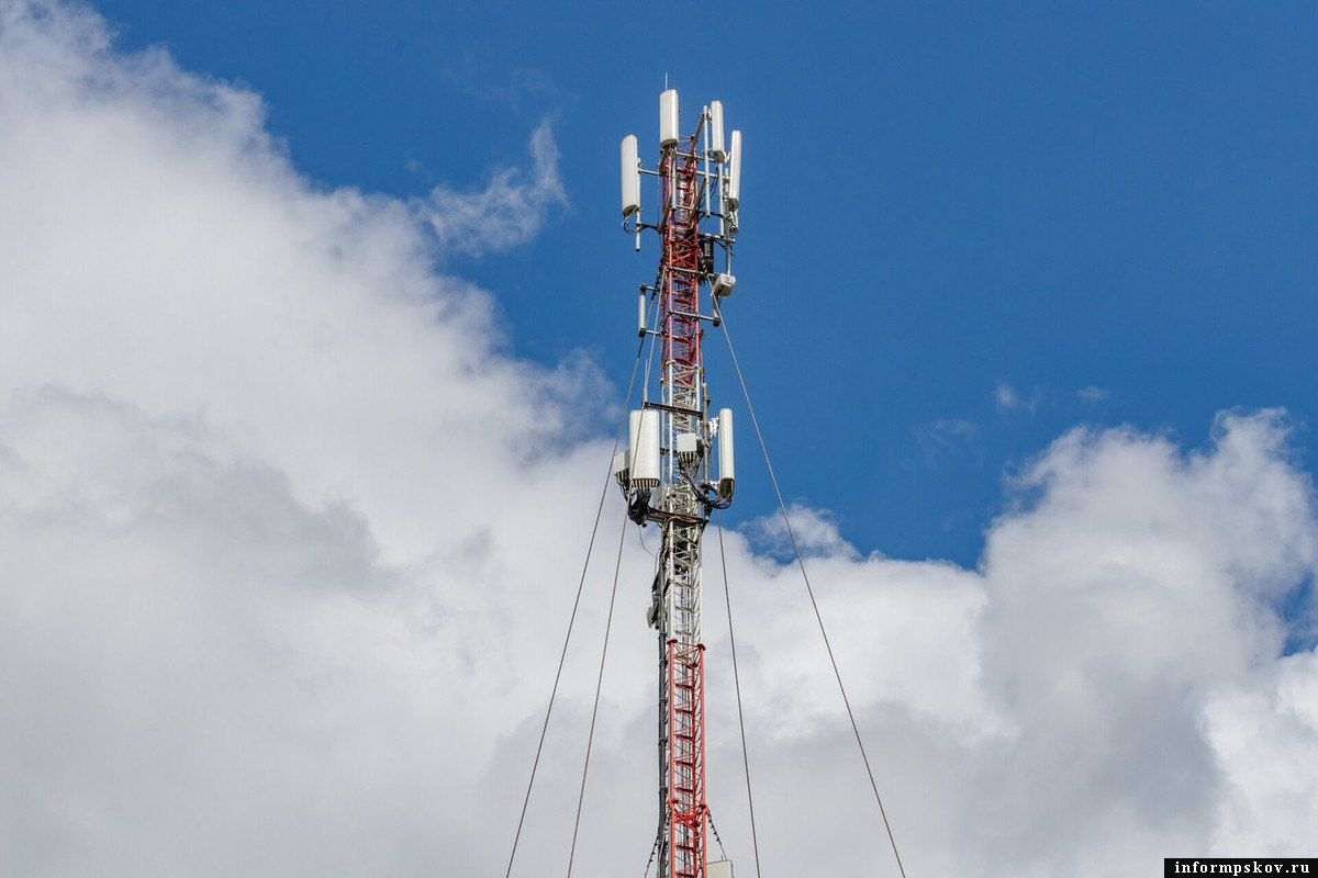 Фото: пресс-служба областного Собрания депутатов