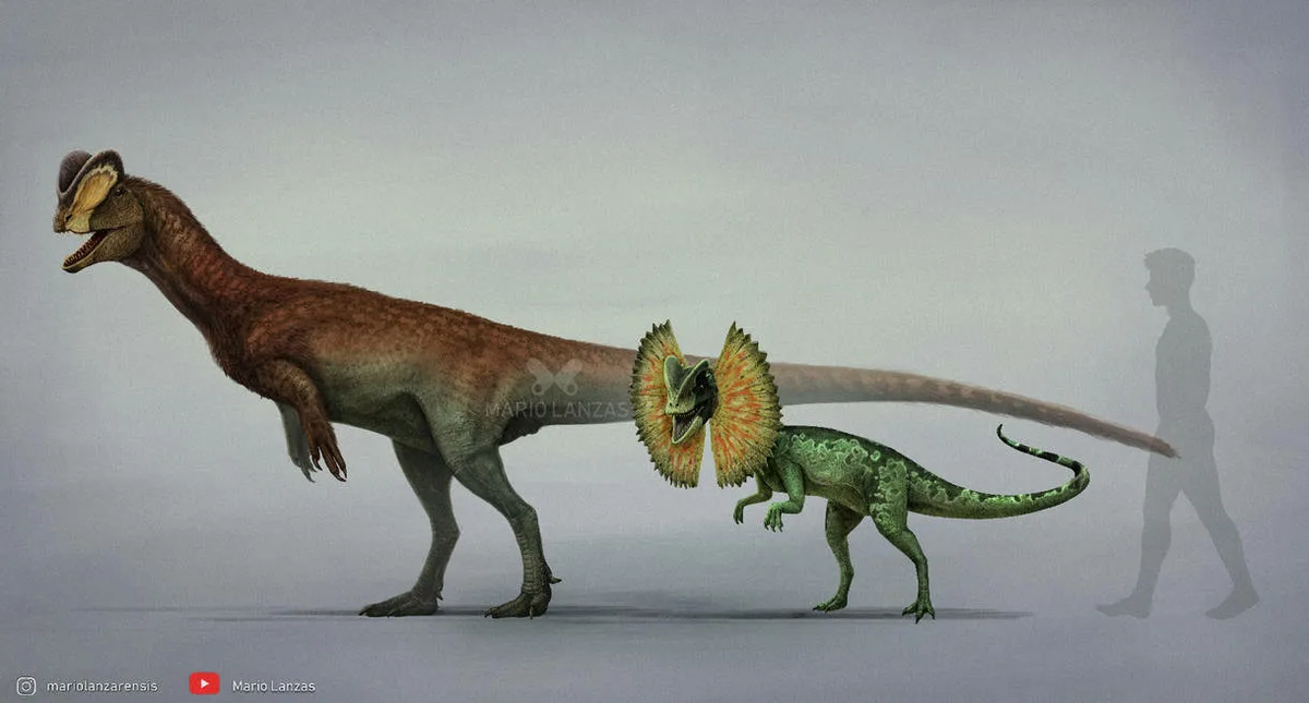 сравнение размеров справа дилофозавр из парка юры слево реальный дилофозавр