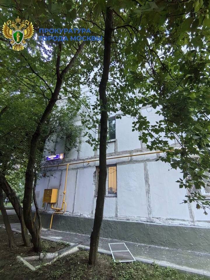  Фото: прокуратура Москвы