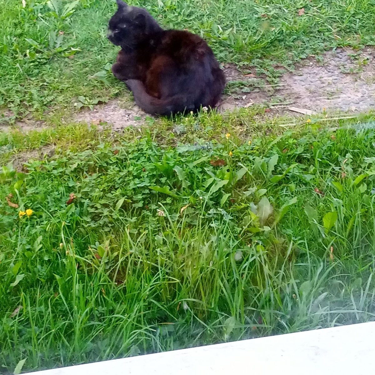 Никто не процдет мимо меня.