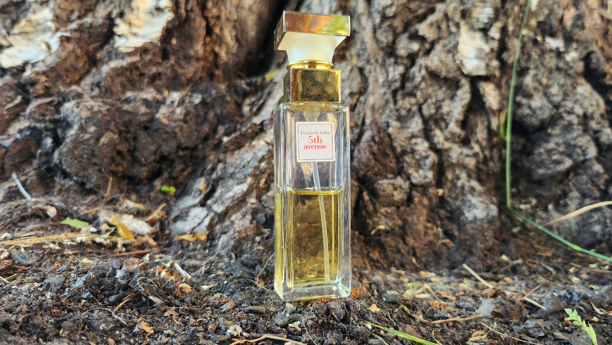 Аккорды и основные ноты в галлерее, листай карусель