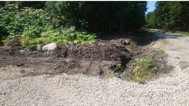 Фото: Госэконадзор Ленобласти