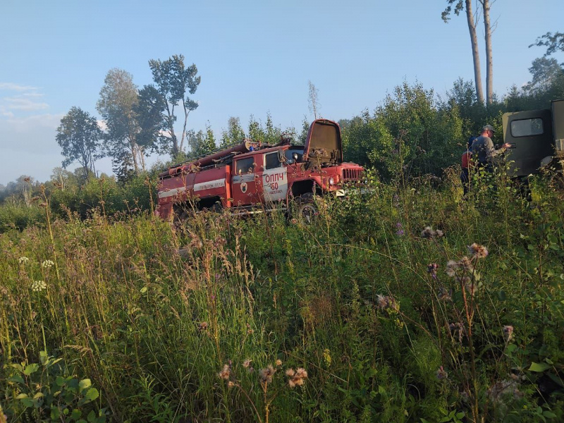   Лес горит около деревни Авдеево в КарелииГоскомитет Карелии по безопасности