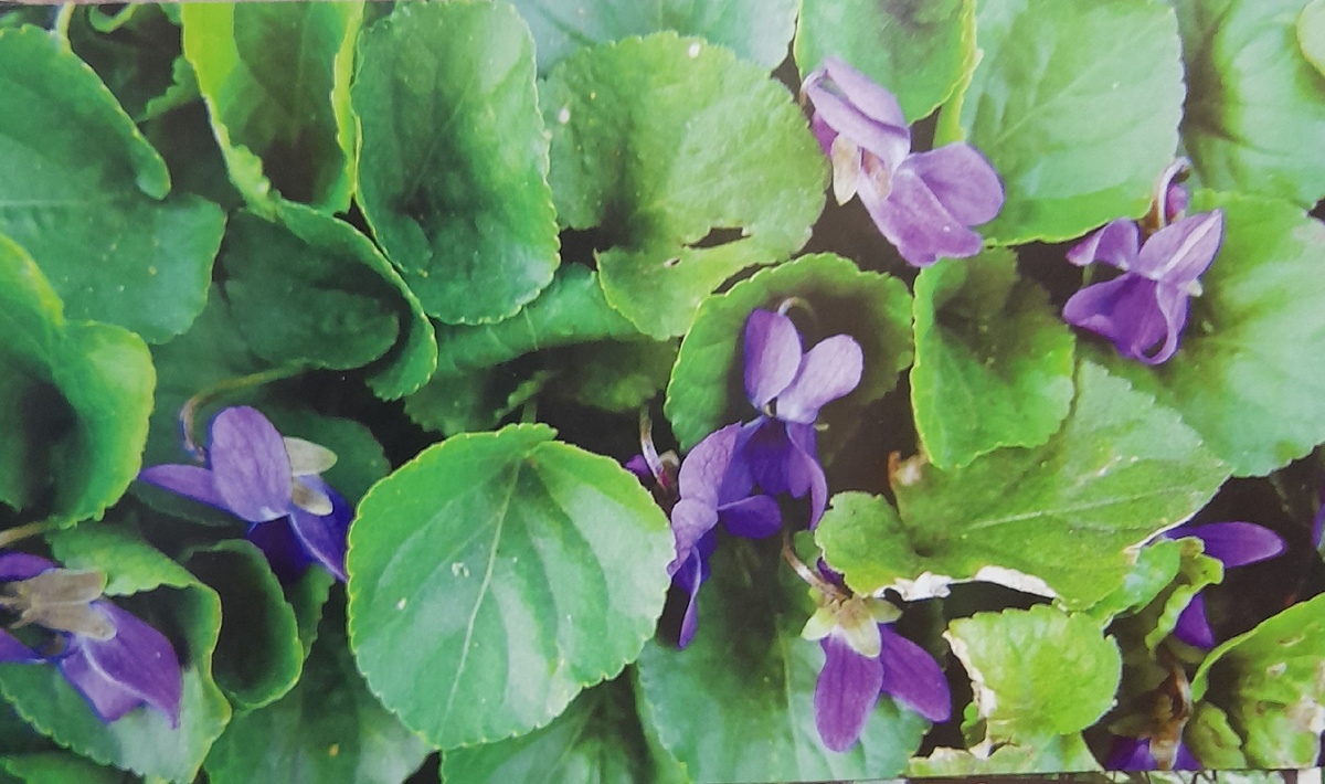 Фото автора канала