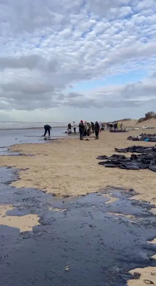    Фото: скриншот видео из соцсетей