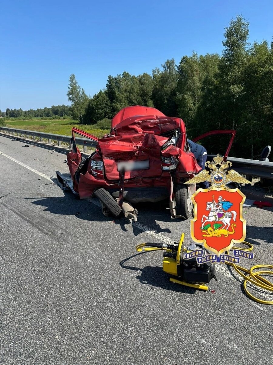    Фото: ГУ МВД России по Московской области