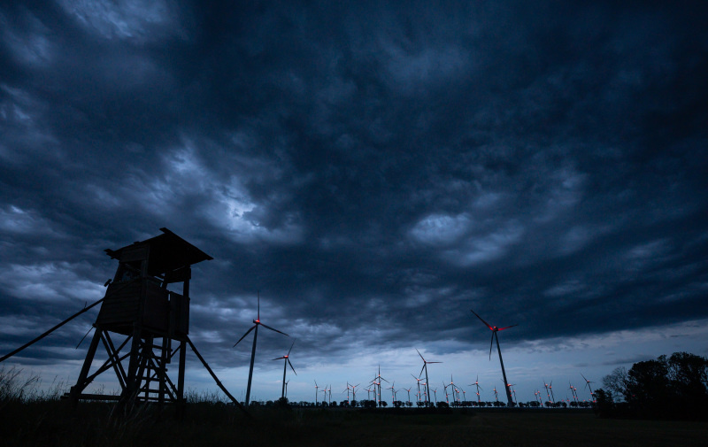    Фото: Patrick Pleul/Globallookpress