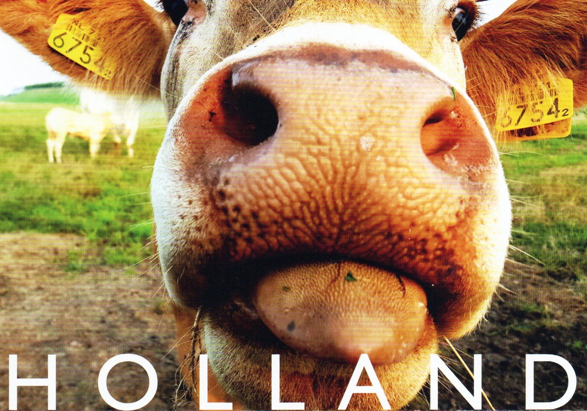 С обратной стороны открытки: Design by Paperclipcards