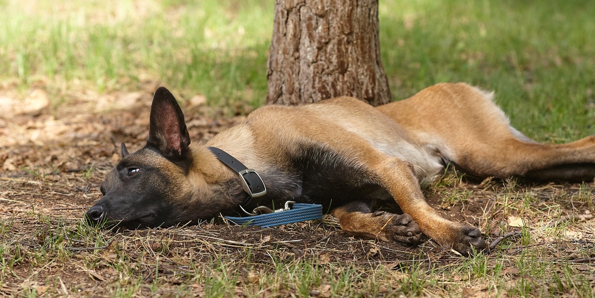 Фото: Евгений Ткаченко