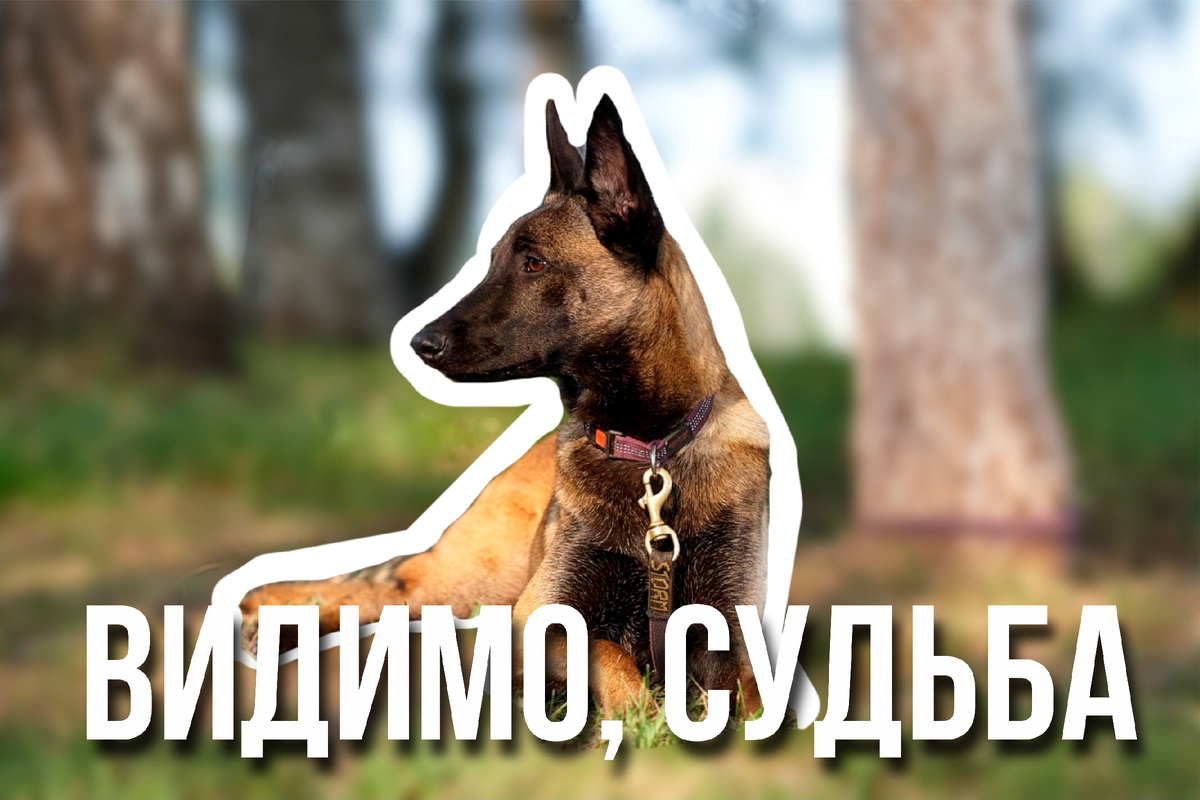 Фото: Евгений Ткаченко