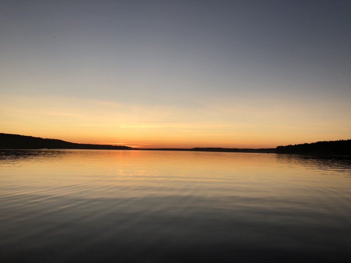    Фото: Мойка78\Вероника Смирнова