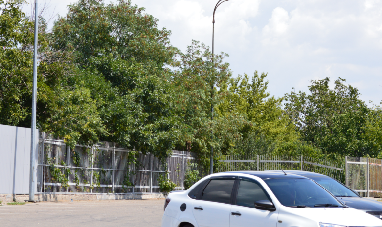 Фотои автора. Лето 2025. В городской черте. Деревьев много, тень отсутствует. Время когда плавиться асфальт.