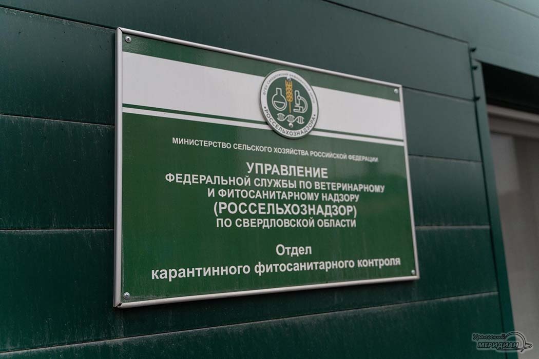    Фото Лидия Аникина © ИА «Уральский меридиан»