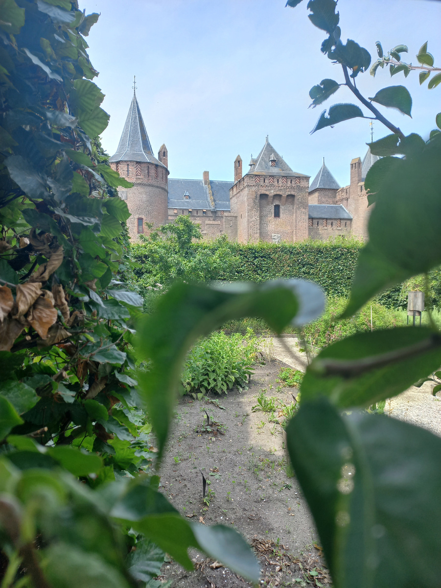 Фото автора. Вид на замок из сада.