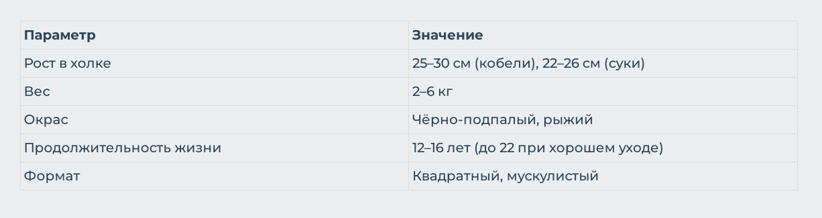 Таблица параметров цвергпинчера