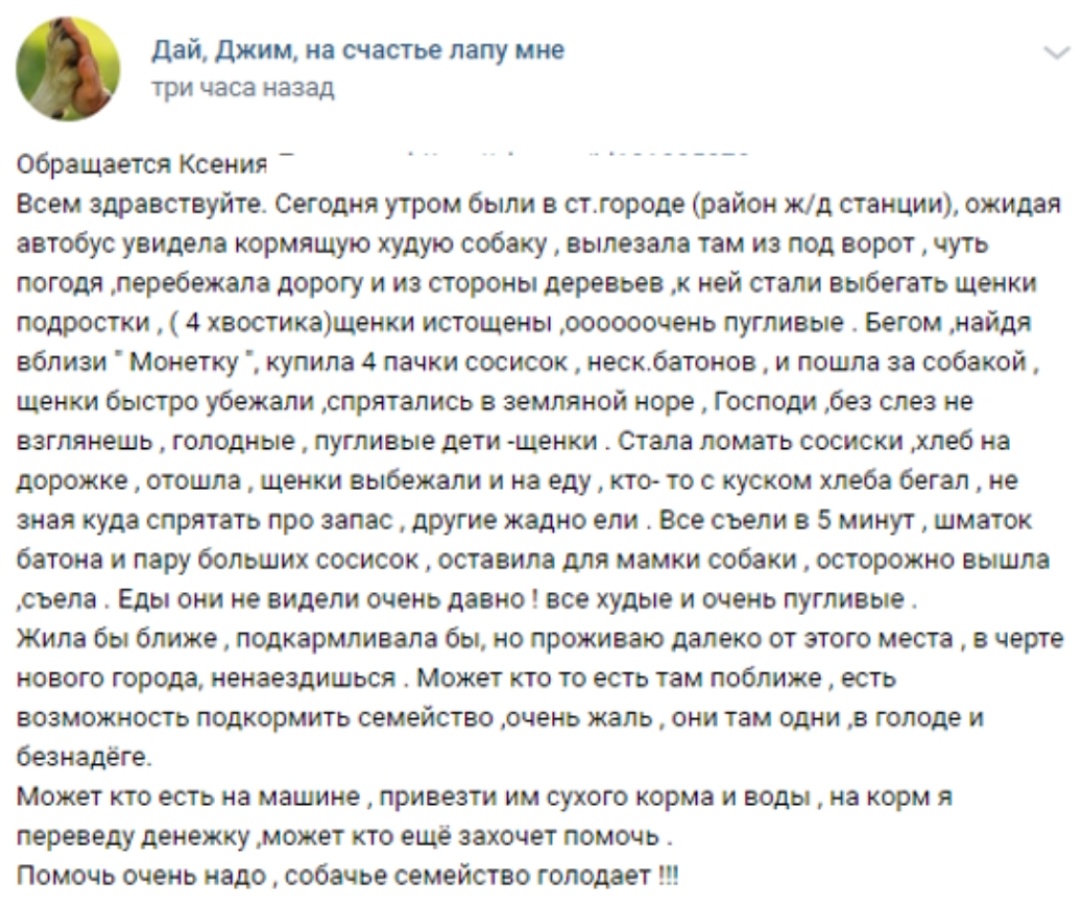 К нам в группу обратилась Ксения