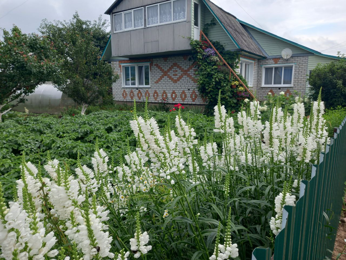 Дом у дороги - мой дом.