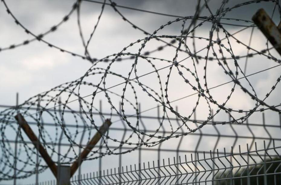    Алексей Белкин/NEWS.ru