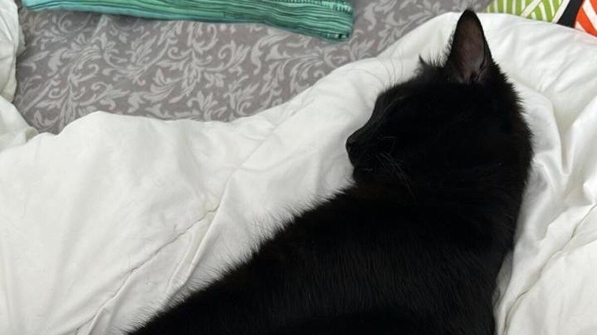    Фото: телеканал «Краснодар»