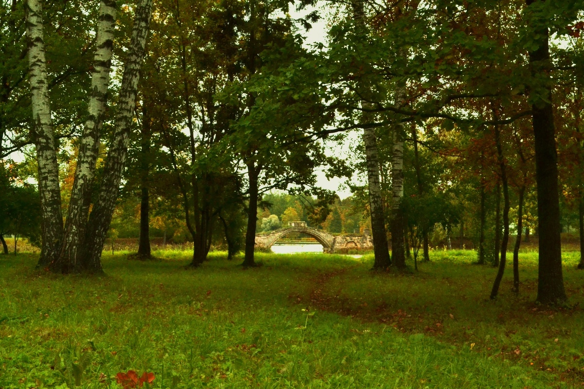 Фото автора. Уголки дворцового парка в 2019 году. листаем...