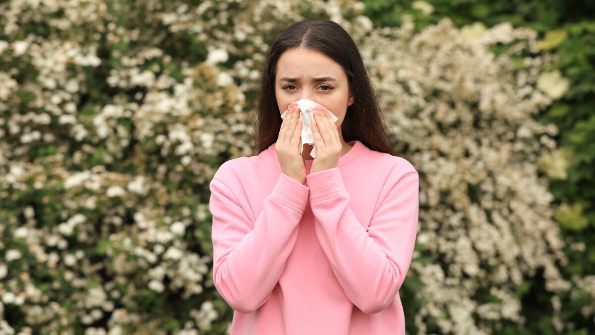 От берёзы до полыни: как пережить сезон аллергий и не заболеть астмой 