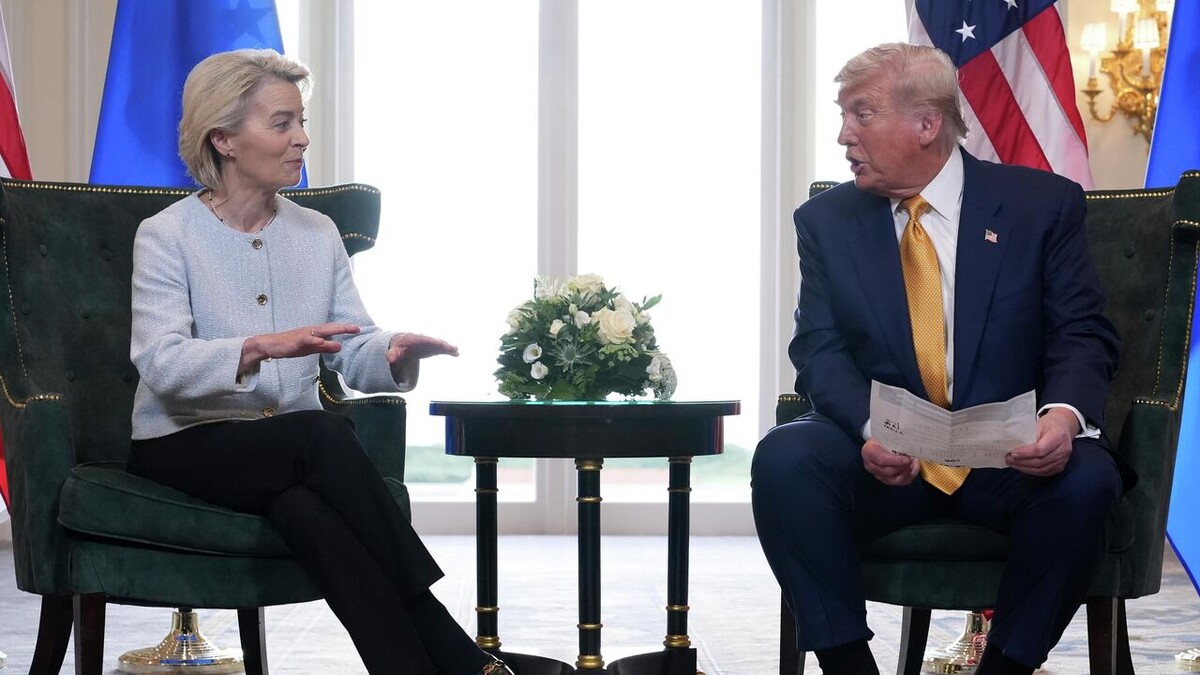 - Соглашайся,завтра будет дороже...