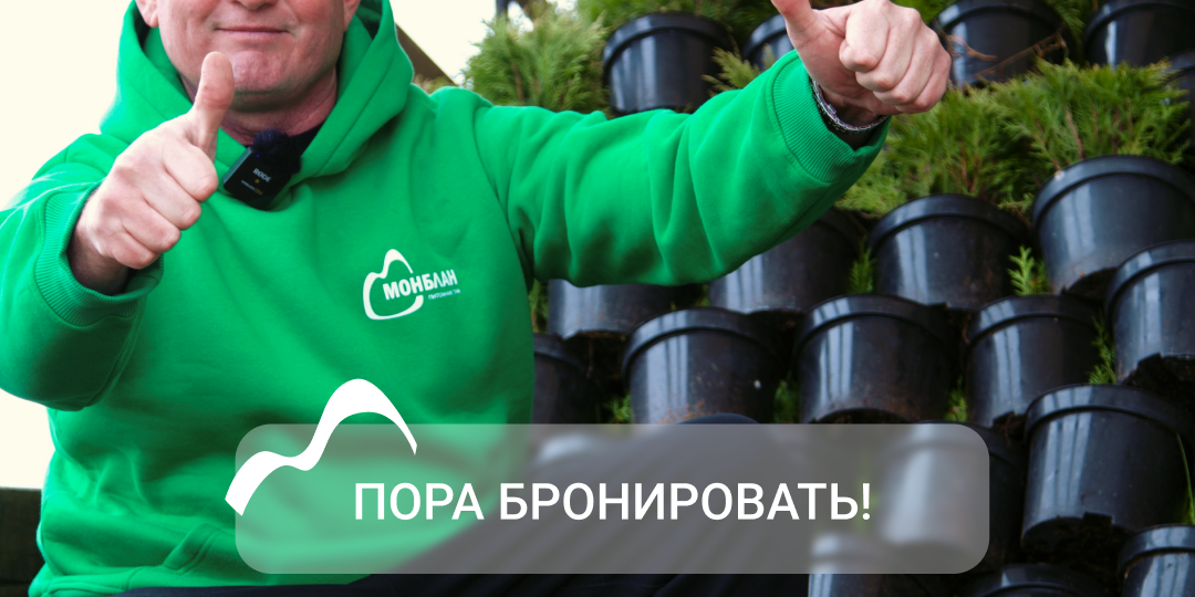 Бронь на весну открыта!