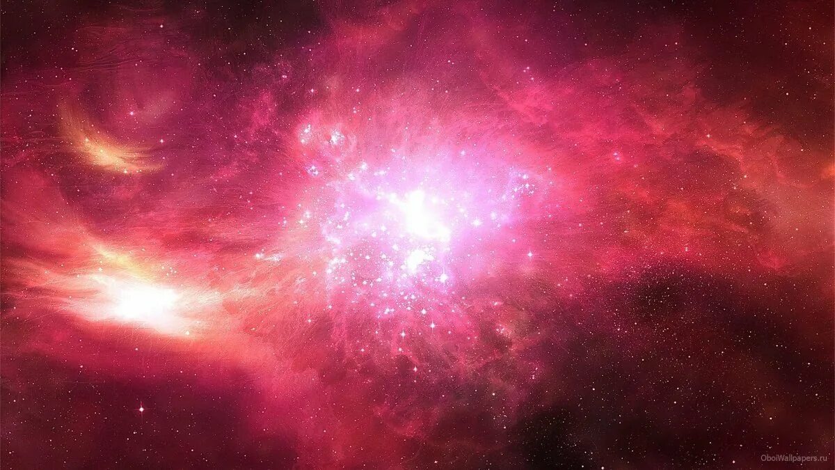 Розовый космос